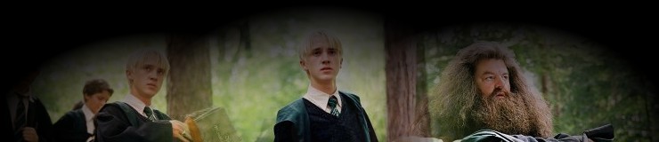 Tom Felton